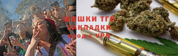 apvp Алексин