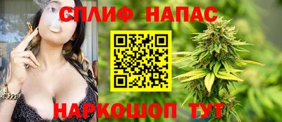 СК Моздок