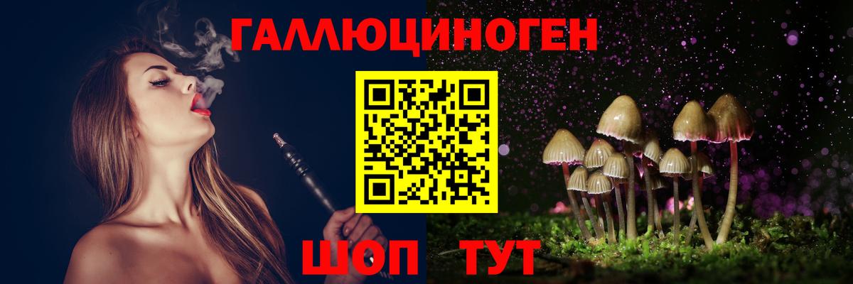 Балашов  Галлюциногенные грибы Psilocybe  Вход с VPN  Псилоцибиновые грибы GOLDEN TEACHER 